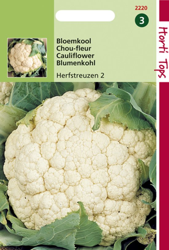 Cauliflower Autumn Giant 2 (Brassica) 300 seeds